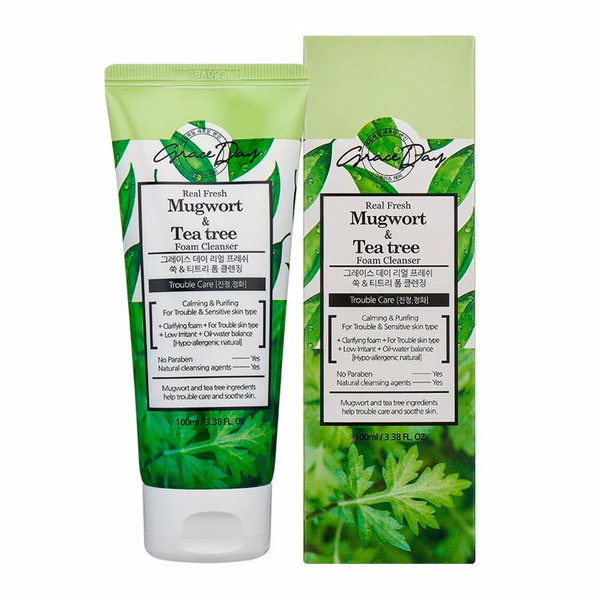 Grace Day Пенка с экстрактом полыни и чайного дерева Real Fresh Mugwort & Tea Tree Foam Cleanser 100 мл.